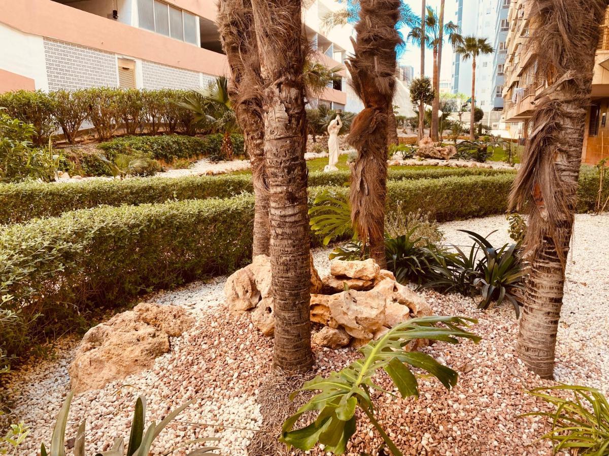 בנידורם Be Luxury Apartment 20 Mts From The Beach מראה חיצוני תמונה