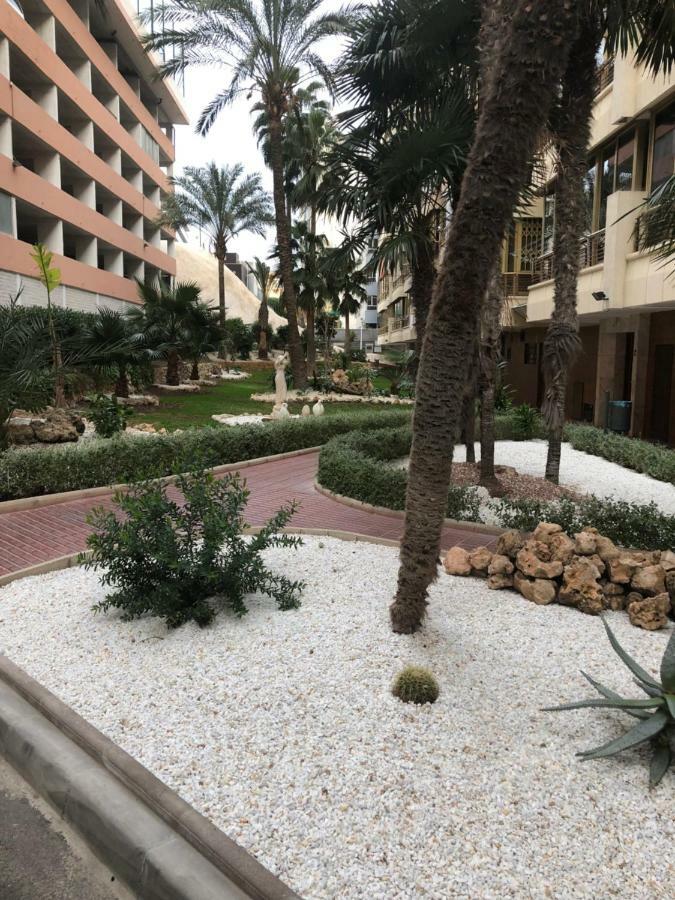 בנידורם Be Luxury Apartment 20 Mts From The Beach מראה חיצוני תמונה