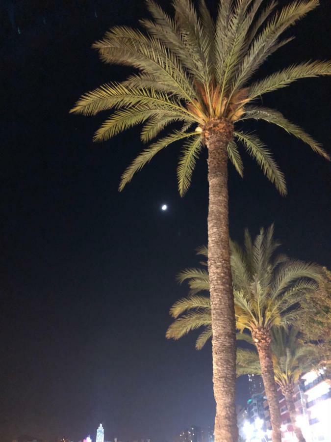 בנידורם Be Luxury Apartment 20 Mts From The Beach מראה חיצוני תמונה
